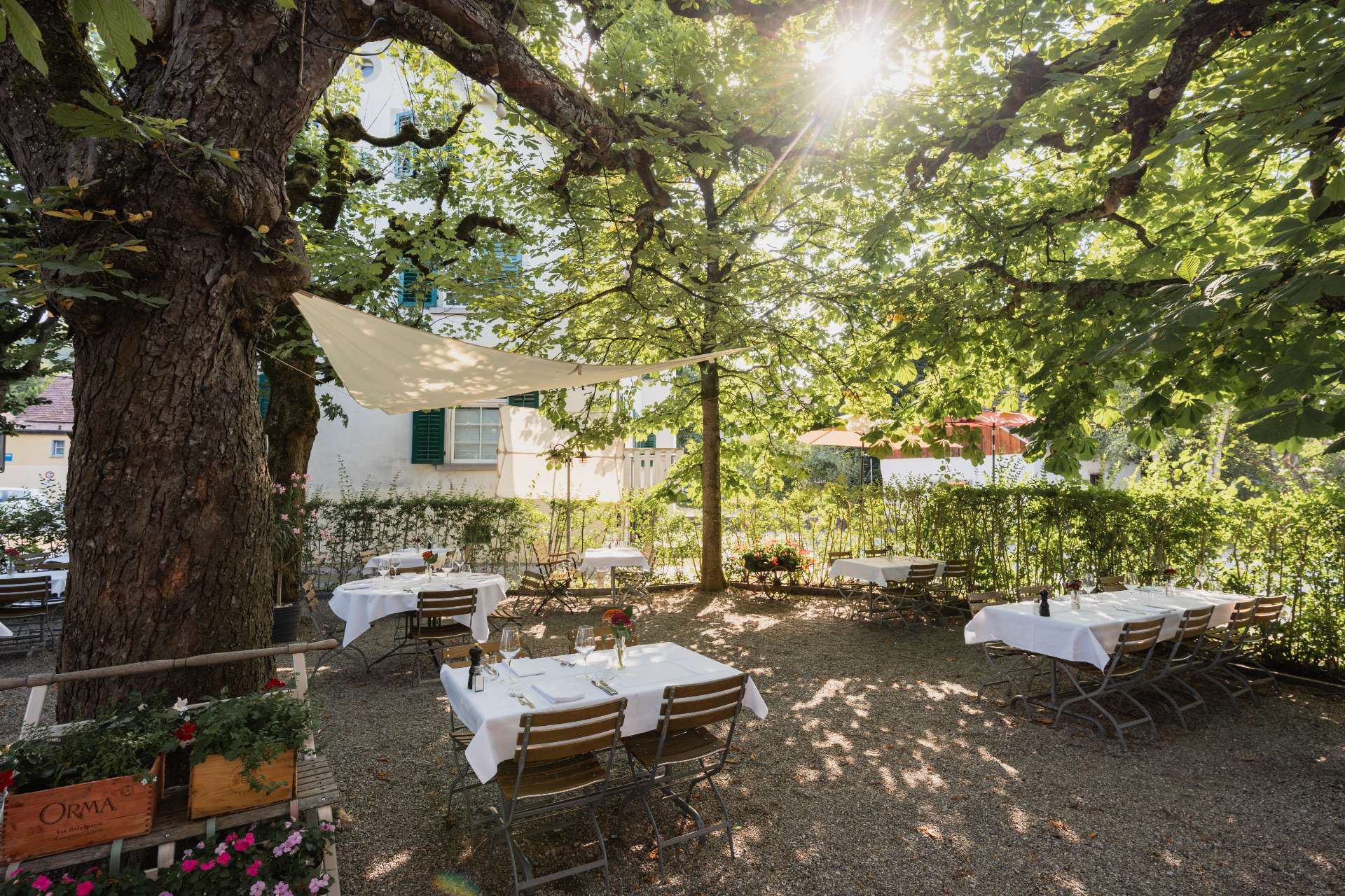 Kastaniengarten im Abendlicht